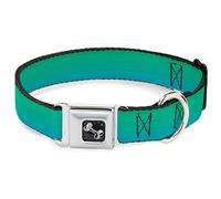 Buckle Down Seatbelt Buckle Dog Collar - Teal Ombre - 1" Wide - Fits 11-17" Neck - Medium