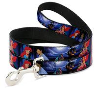Buckle Down Wide 1.5" "The Little Mermaid Ariel & Eric Scenes Dog Leash, 4'