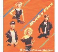 Bucks Fizz - the carroll county accident LP
