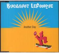 Buckshot Lefonque - Another Day