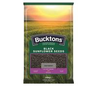 Bucktons Black Sunflower