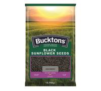 Bucktons Black Sunflower
