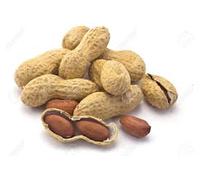 Bucktons Peanuts In Shells