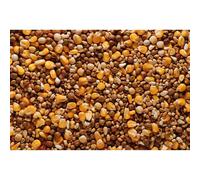 Bucktons Pigeon Best All Round 20kg