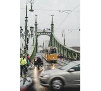Budapest Freedom Bridge-8000-Piece Puzzle for Adults: Brain Challenge Puzzle 14 years+