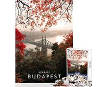 Budapest River Danube 1000 Piece Jigsaw Puzzle for Teenagers Support Memory Strength And Retention Gentle Calm Leisure Activity (38X52cm)