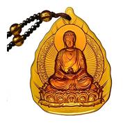 Buddha Necklace for Women Bling Good Luck Buddha Necklace 12 Zodiac Guardian Bodhisattva Pendants Amulet Buddhist Jewelry, Stainless Steel, No Gemstone