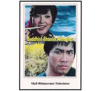 Buddhist Shaolin Avengers: Widescreen TV.