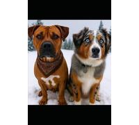 Buddy and the Baby: Winter Trials: Book Two (Buddy & The Baby)