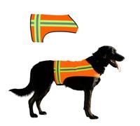 BUDDY GLOW Reflective Dog Vest - Fluorescent Orange | High Visibility Safety Jacket, Water Resistant & Adjustable for Day & Night Walks, Hiking, Hunting & Outdoor Use