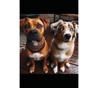 Buddy & the Baby: Paws of Friendship: Book 1