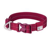 BuddyArmor All-Weather Dog Collar, Reflective Dog Collar, Adjustable Nylon Dog Collar with QR Code, Anti-Loss for Small, Medium, Large Dogs (Slim, Burgundy, M)