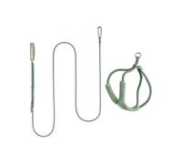 BuddyArmor Escape Proof Y Shape Cat Harness with Lead Set, Adjustable Anti-Choke Padded Soft Harness Cat Vest Harness and Hands-Free Leads for Cats Walking up to 12 kg (Olive Green, M)