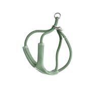 BuddyArmor Y Shape Cat Harness, Escape Proof, Adjustable, Anti-Choke, Padded Soft Harness, Cat Vest, Comfortable Cat Harness, Harness for Small to Large Cats (No Leash) (Olive Green, M)