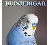 Budgerigar Calendar 2027: Organizer For Home & Office From January to December For Men, Women