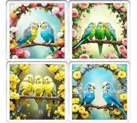 Budgerigar Coaster Set. 4 different Budgie Pictures on 10cm x 10cm Acrylic Coasters. Boxed Coaster Drip Mat Set.