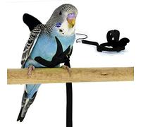 Budgerigar Harness and Leash, Adjustable Parrot Bird Training Design Anti-Bite, Bird Nylon Rope with Cute Wing for Budgerigar and Same Size Birds (S, Black)