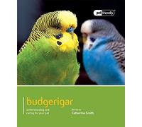 Budgerigar: Pet Friendly - Budgerigar: Understanding and Caring for Your Pet