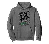 Budget Analyst Only Here For The Money And Fame, Accounting Pullover Hoodie