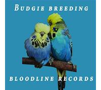 Budgie breeding bloodline records: family tree records for budgies