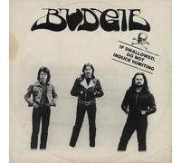Budgie - If Swallowed Do Not Induce Vom [VINYL]