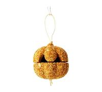 Budgie Treats - Natural Pumpkin Chew Toy, Organic Crunchy Feed Supply, Durable Accessory for Cage Activities | Canary Lovebird Parrot Conure Bunny