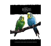 Budgies: Everything about Selection, keeping, care, employment Opportunities