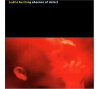 Budha Building - Absence of Defect