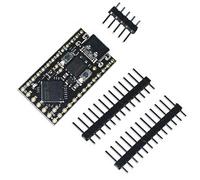 budiniao Develop With RP2040 Pro Micro ARM Cortex M0 Processor Module Can Be Directly Soldered And Integrated Into User-designed, RP2040（16M）weldin