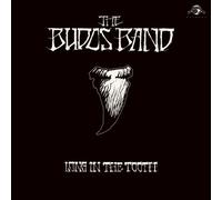 The Budos Band - Long In The Tooth