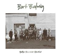 Bart Budwig - Another Burn On The AstroTurf (LP) [VINYL]