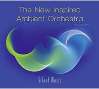Büdi Siebert & The New Inspired Ambient Orchestra - Silent Music