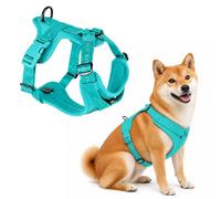 BUERPINKING Adjustable Dog Harness with Soft Padding, Dog Harness for Small, Medium and Large (Green, M)
