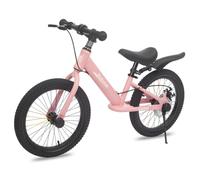 Bueuwe 16 Inch Balance Bike with Disc Brake, No Pedal Bike for Kids 4-8 Year Old, Walking Bike with Adjustable Seat, Kickstand, Footrests, for Boys and Girls,Pink