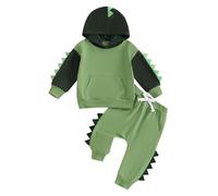Bufarromio Little Kid Baby Boys Dinosaur Outfits Long Sleeve Serrated Hoodie Elastic Waist Sweatpants Fall Winter 2pcs Clothes Set (Green, 18-24 Months)