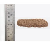 Buff Medium Ballast Woodland scenics B1380