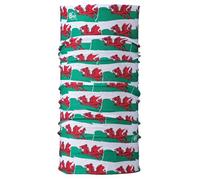 Buff Original Ecostretch Neckwear Fashion Scarf, Multi, OneSize