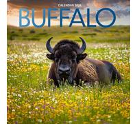 Buffalo 2026 Calendar: Majestic Herds and Wild Landscapes