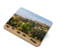 Buffalo Custer State Park South Dakota USA Flexible Rectangle 5mm Rubber Mouse Mat Pad Office Home Novelty Printed Desk Accessory #50414