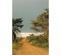 Buffalo Gals Vol II: Wits are Wealth