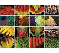Buffalo Games - Feathered Fantasies - 1000 Piece Jigsaw Puzzle
