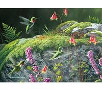 Buffalo Games - Hautman Brothers - Dappled Hummingbirds - 1000 Piece Jigsaw Puzzle