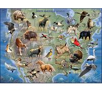 Buffalo Games - Hautman Brothers - North American Wildlife - 1000 Piece Jigsaw Puzzle
