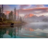 Buffalo Games - Molly McCormick - Bear Reflections - 500 Piece Jigsaw Puzzle