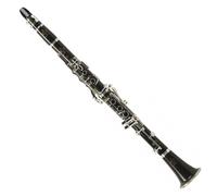 Buffet E13 A Clarinet with Double Case