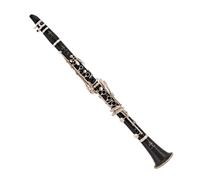 Buffet E13 Bb Clarinet with Gig Bag Case