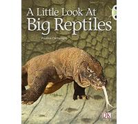 Bug Club Guided Non Fiction Year 1 Blue B A Little Look at Big Reptiles