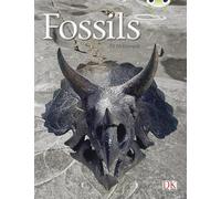 Bug Club Guided Non Fiction Year Two Gold A Fossils