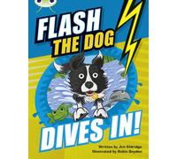 Bug Club Independent Fiction Year 3 Brown B Flash the Dog Dives In!