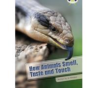 How Animals Smell, Taste and Touch (BUG CLUB)